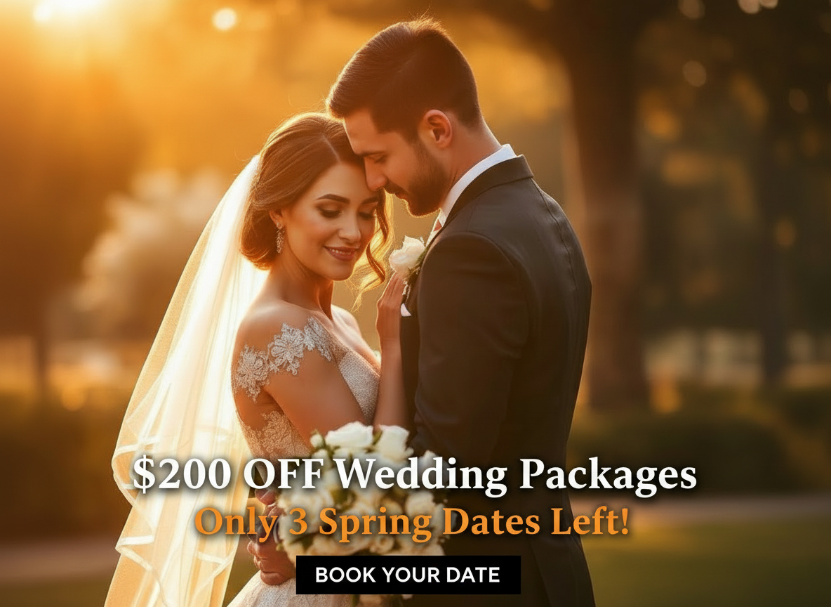 Wedding Photography ad creative example